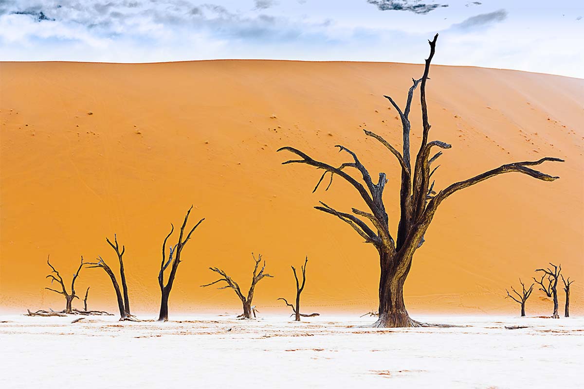 Tote Bäume im Deadsvlei in Namibia